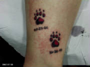 tiamattattoo155.jpg